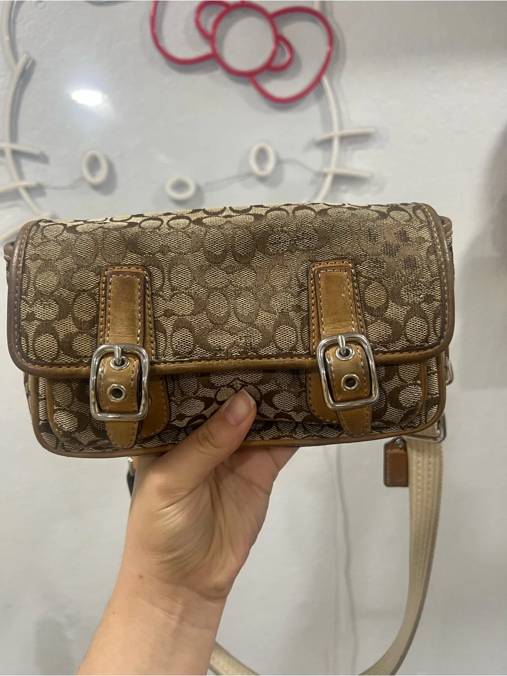 Coach Bon Voyage Belt Bag VTG Project Bag